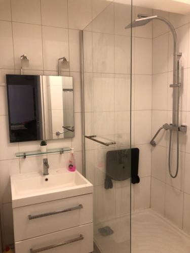 une salle de bain avec un lavabo et une douche avec un miroir dans l'établissement Beautiful apartment,South Paris, à Paris