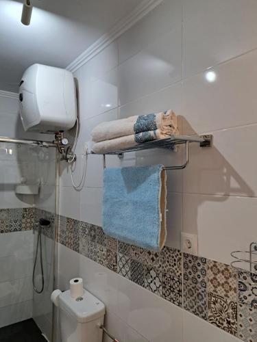 a bathroom with a towel rack next to a toilet at Casa Esterlita in Tarajalejo