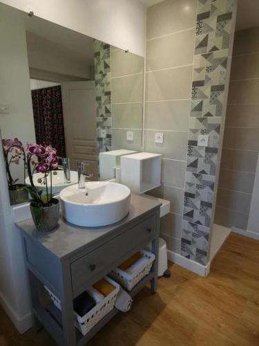 une salle de bain avec un lavabo et un grand miroir dans l'établissement La maison du becq, à Saint-Lon-les-Mines