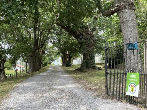 a tree lined driveway with a gate with a sign on it at Trebuc in Labastide-Clairence