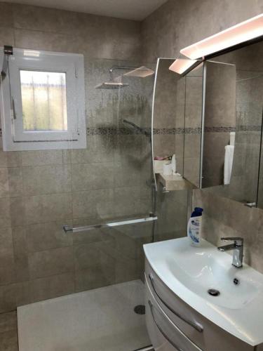 une salle de bain avec un lavabo et une douche avec un miroir dans l'établissement Gite de font du roux, à Flayosc
