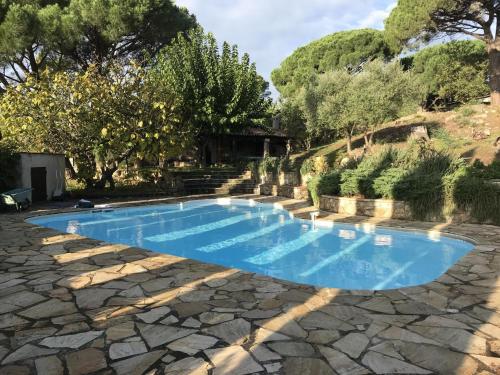 - une piscine dans une cour avec une terrasse en pierre dans l'établissement Gamate, au Plan-de-la-Tour