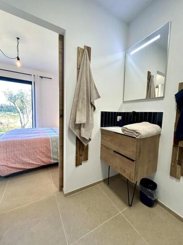 une chambre avec un lit, un lavabo et un miroir dans l'établissement Gite macy, à Montauroux