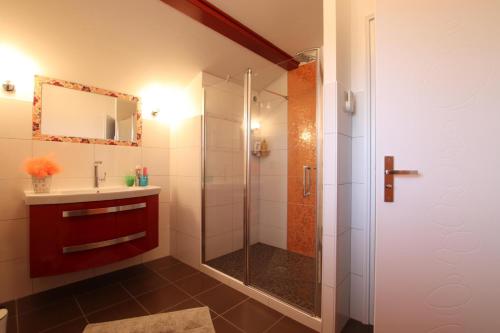 un bagno con doccia e lavandino di Ixtulian-borda a Hasparren