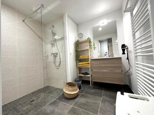 ein Badezimmer mit Dusche und Waschbecken in der Unterkunft L'appartement de l'ermitage in Dax