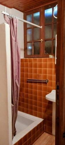 une salle de bain avec un rideau de douche et un lavabo dans l'établissement Le gite delfino, à Trigance