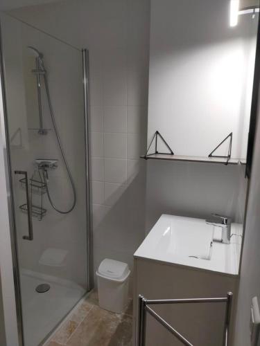 une salle de bain avec une douche, des toilettes et un lavabo dans l'établissement La forge, à Moissac-Bellevue