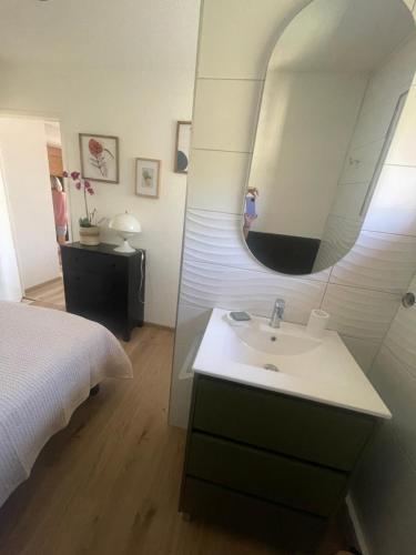une salle de bain avec un lavabo et un miroir dans l'établissement Vallonpierre, à Orcières
