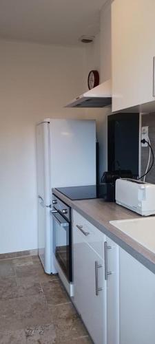 une cuisine blanche avec un réfrigérateur et un micro-ondes dans l'établissement Les lavandes, à Moissac-Bellevue