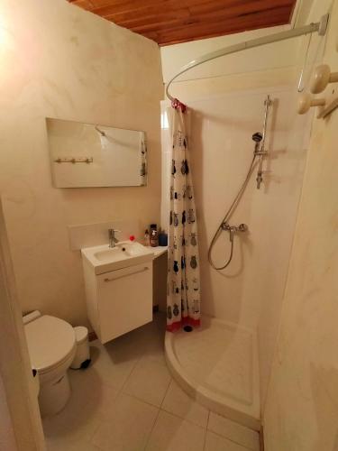 une petite salle de bain avec toilettes et lavabo dans l'établissement Maison Centre Village, à Craponne-sur-Arzon