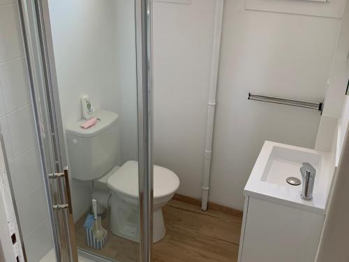 une petite salle de bain avec toilettes et lavabo dans l'établissement Appartement cosy à 200m de la plage, 2 chambres, garage, animaux admis, au cœur de Fort-Mahon-Plage - FR-1-482-36, à Fort-Mahon-Plage