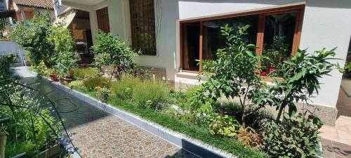a garden in front of a house with plants at Garden Guest House in Tirana