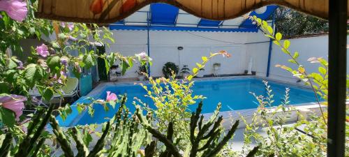 a swimming pool with purple flowers in front of it at Garden Guest House in Tirana