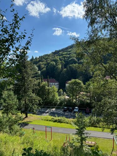 a view of a mountain with a parking lot at Apartmán v Jáchymově pro 4 osoby, free wifi in Jáchymov