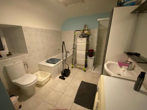 une petite salle de bain avec toilettes et lavabo dans l'établissement Ti ma zud kozh, à Gommenec'h