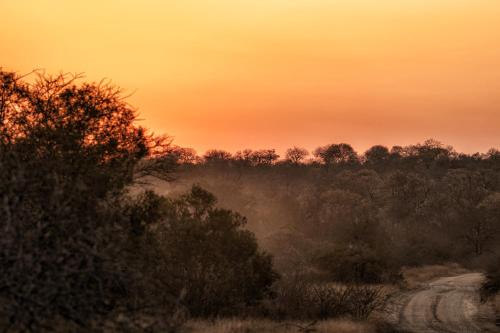 Φωτογραφία από το άλμπουμ του Rhino Walking Safaris σε Skukuza