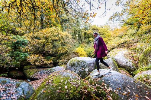 a woman standing on a rock in a forest at La clef des champs in Kérien