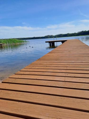 Domki z jeziorem - Sajzy 22