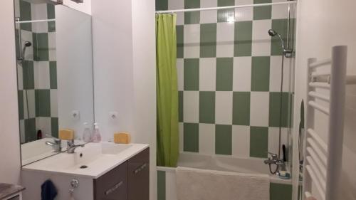 une salle de bain avec un lavabo et une douche dans l'établissement Appartement Calme Puits d Enfer Parking, à Château-dʼOlonne