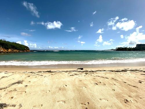 a dog laying on a sandy beach near the ocean at Villa De Palma -Oceanfront community w generator in Sabana