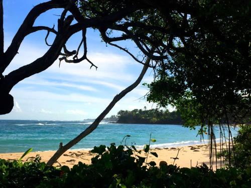 a beach with a view of the ocean at Villa De Palma -Oceanfront community w generator in Sabana