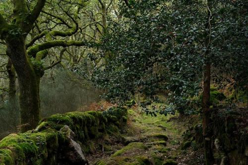 Gallery image of Casa A Criscada in Fornelos de Montes