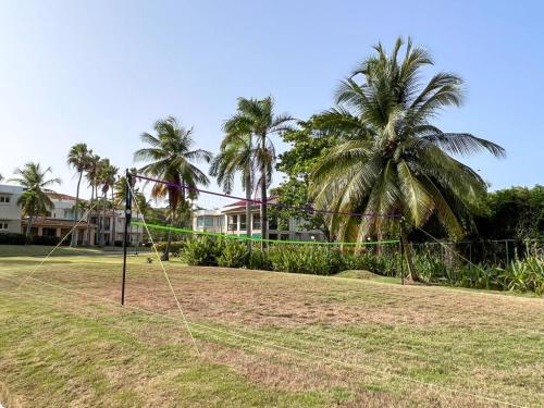 a volley ball net in a yard with palm trees at Villa De Palma -Oceanfront community w generator in Sabana