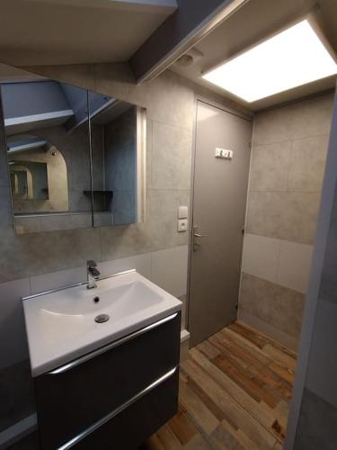 une salle de bain avec un lavabo et une douche dans l'établissement Petite maison de village, à Chamouilley