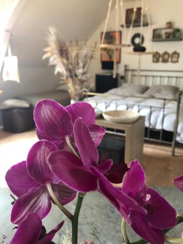 une fleur violette dans un vase dans une pièce dans l'établissement La Thibautière, à Blaison-Gohier