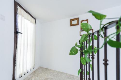 a window in a room with a plant at Sea Suites in Ugento