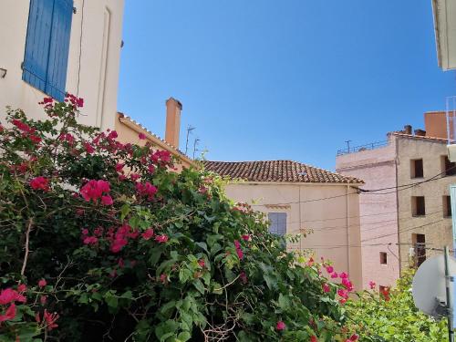 Appartement T3 au cœur de Banyuls-sur-Mer, proche plage et commerces - FR-1-309-33