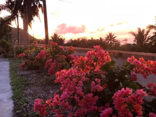 Aed väljaspool majutusasutust Saipan Emerald Villa