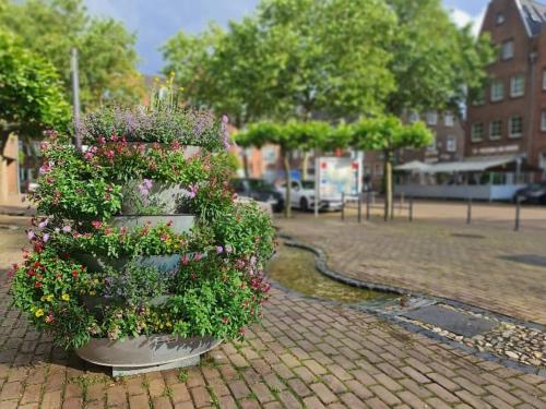 a planter filled with flowers sitting on a street at Ferienwohnung "Erika" Rees am Niederrhein in Rees