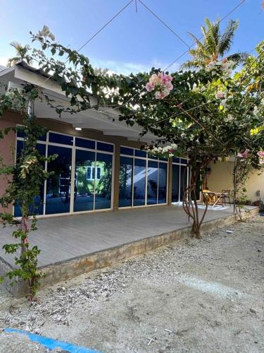a building with windows and a tree with pink flowers at Lavender Residence in Feydhoo