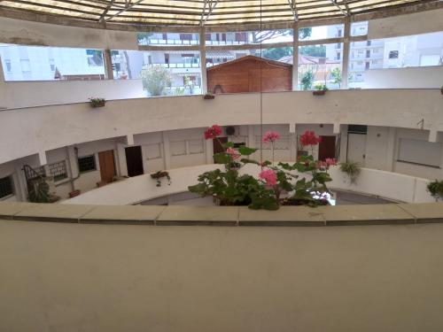 an empty building with flowers in a courtyard at Casa Martini in Lido degli Estensi