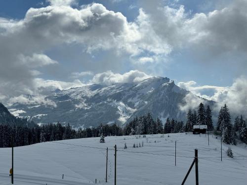 a snow covered hill with a mountain in the background at Alprestaurant Stäldeli in Flühli