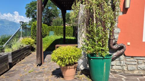 two potted plants sitting next to a building at Ferienwohnungen BergArt in Iselsberg