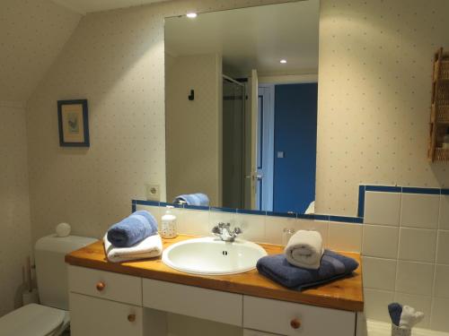 a bathroom with a sink and a large mirror at B&B Woluwé in Brussels