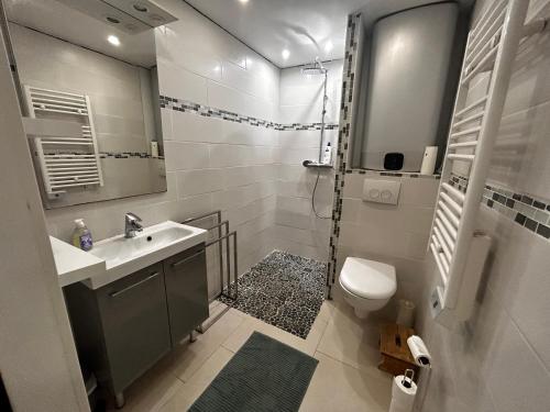 une salle de bain avec une douche, un lavabo et des toilettes dans l'établissement Superbe appartement 2 pièces avec piscine et parking, proche de la mer, à Villeneuve-Loubet