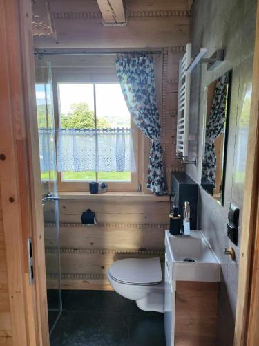 a bathroom with a toilet and a sink and a window at Chata Trzy Wierchy in Wisła