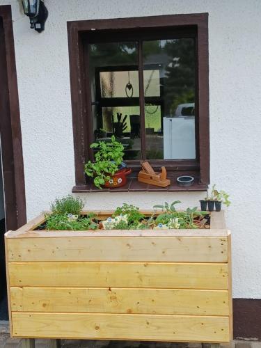 a wooden box filled with plants in a window at Zittau - Ferienwohnung Frieda mit Camping Familien, und Biker Hütten am Zittauer Gebirge in Zittau