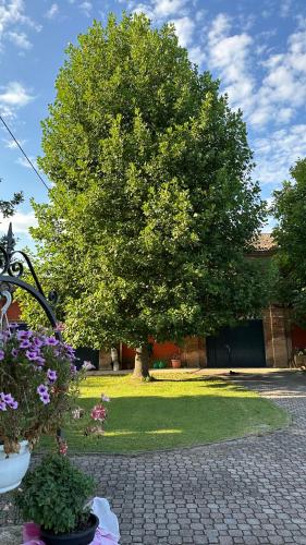 a tree in the middle of a yard with flowers at B&B La Giganta in Porto Viro