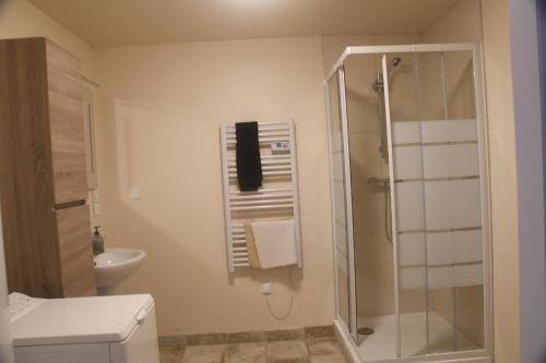 une salle de bain avec douche et lavabo dans l'établissement Le logis de la Chauveliere, à Saint-Valérien