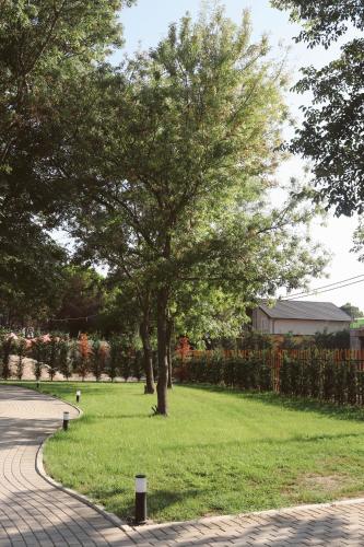 a tree in the grass next to a sidewalk at NOIMA Hotel & Suites in Velipojë