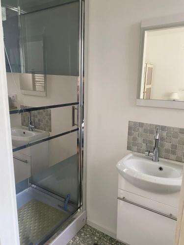 une salle de bain avec douche et lavabo dans l'établissement Petite maison dans le Morvan, à Luzy