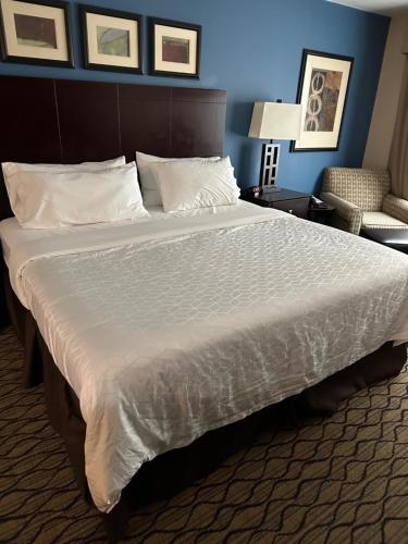 Belle VernonHoliday Inn Express的相册照片