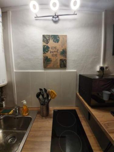 une cuisine avec un évier et un plan de travail dans l'établissement Joli studio au coeur d'Orléans et bords de Loire, à Orléans