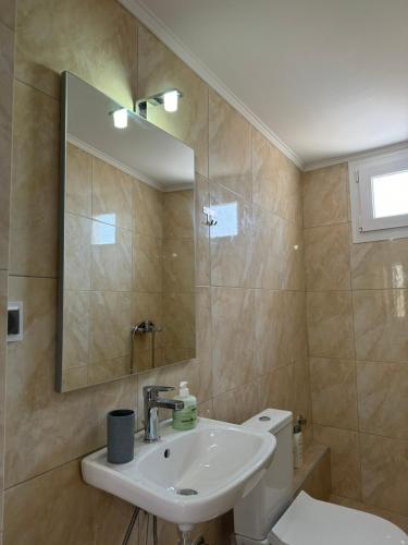 a bathroom with a sink and a mirror and a toilet at Imeros house 3 in Ímeros