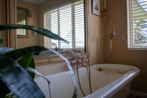 a bathroom with a tub and a window and a plant at Kennedys Beach Villa in Hermanus