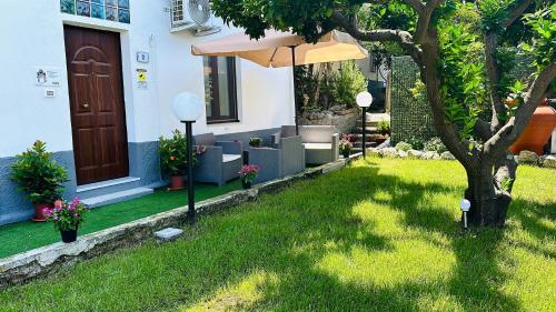 Κήπος έξω από το B&B Paola City